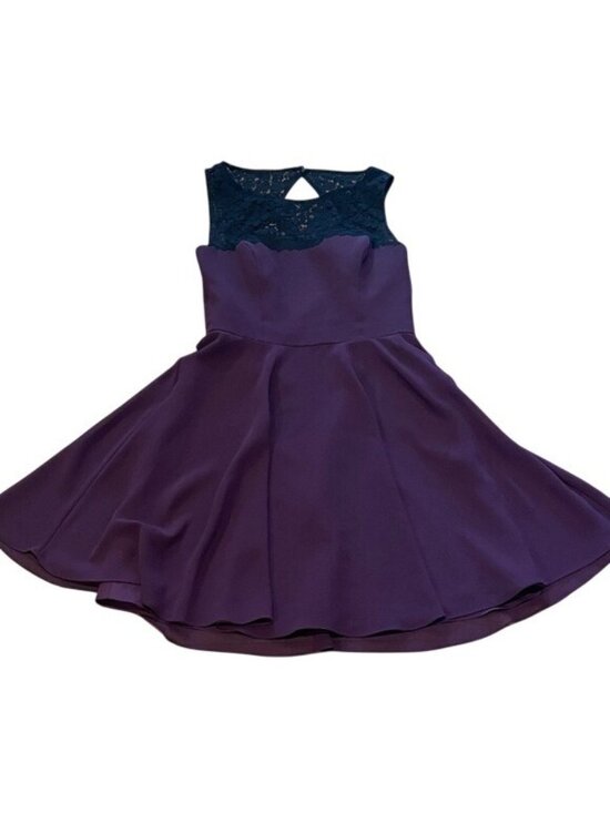 Jasmine Dresses & Skirts - Plum Fit & Flare Dress Size 8 Lace Bodice Skater Cocktail Party